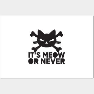 It's meow or never Posters and Art